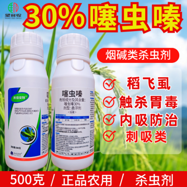 30%噻虫嗪稻飞虱蚜虫白粉虱刺吸害虫杀虫剂