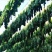 广东农家自晒无沙白菜干新鲜干菜土干菜芯煲汤脱水蔬菜