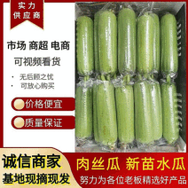 《新苗水瓜》广西南宁产地直发/丝瓜/菜瓜/青丝瓜/肉丝瓜