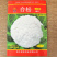 台松80天青梗松花菜种子中熟抗病花球雪白松大细米花型