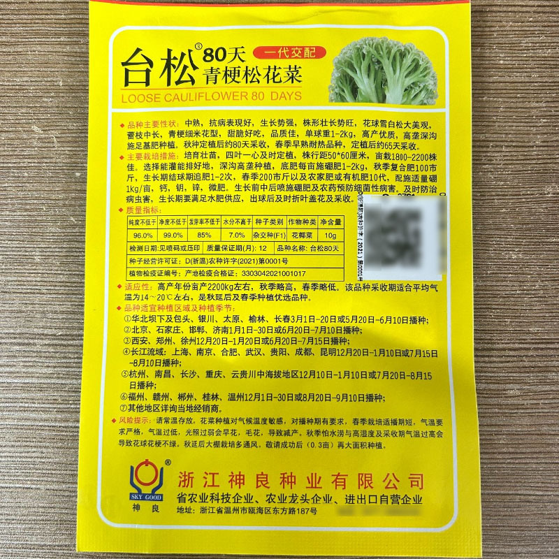 台松80天青梗松花菜种子中熟抗病花球雪白松大细米花型