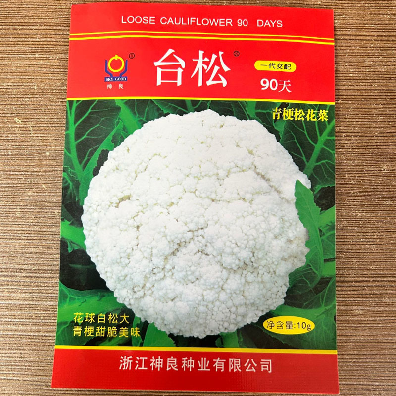 台松90天青梗松花菜种子中晚熟耐寒抗病花球雪白松大
