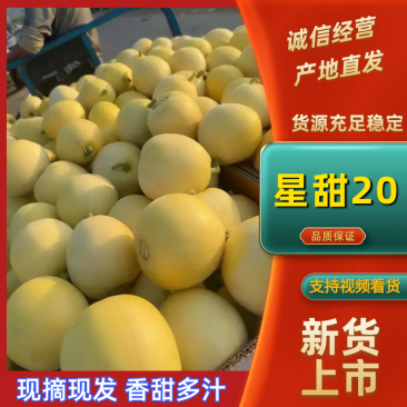 星甜20甜瓜新鲜上市半斤以上产地直供代发全国各地