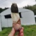红托竹荪花，品质保证，产地直发，价格优惠，实力商家