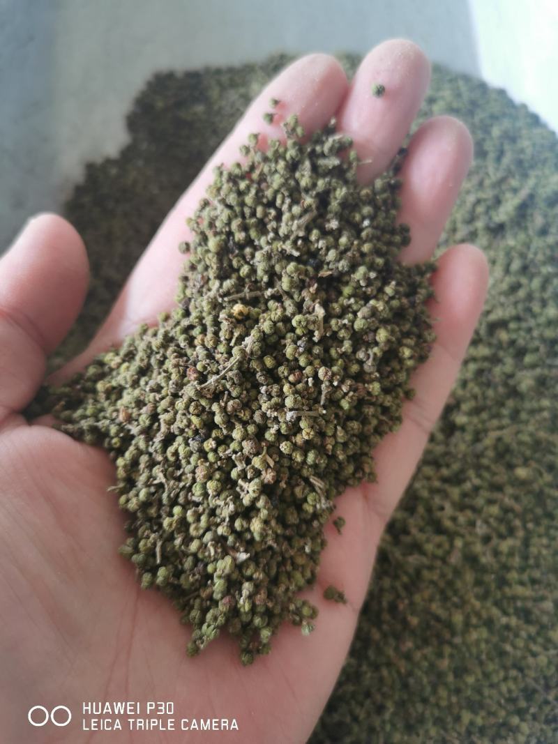 吴茱萸