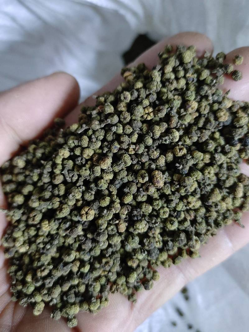 吴茱萸