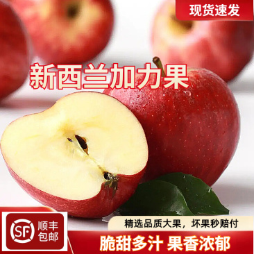 新西兰加力果包邮