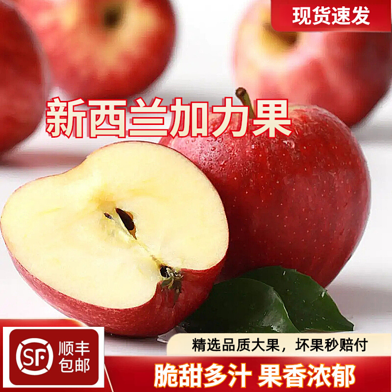 新西兰加力果包邮