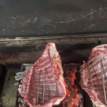 精品羊排羔羊肉排常年供应保质保量一手货源