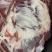精品羊排羔羊肉排常年供应保质保量一手货源