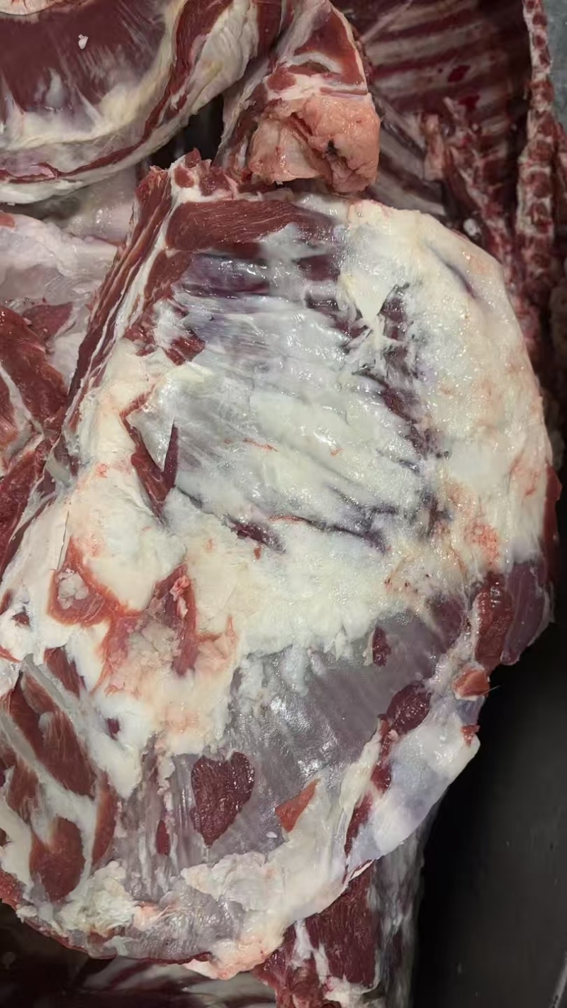 精品羊排羔羊肉排常年供应保质保量一手货源