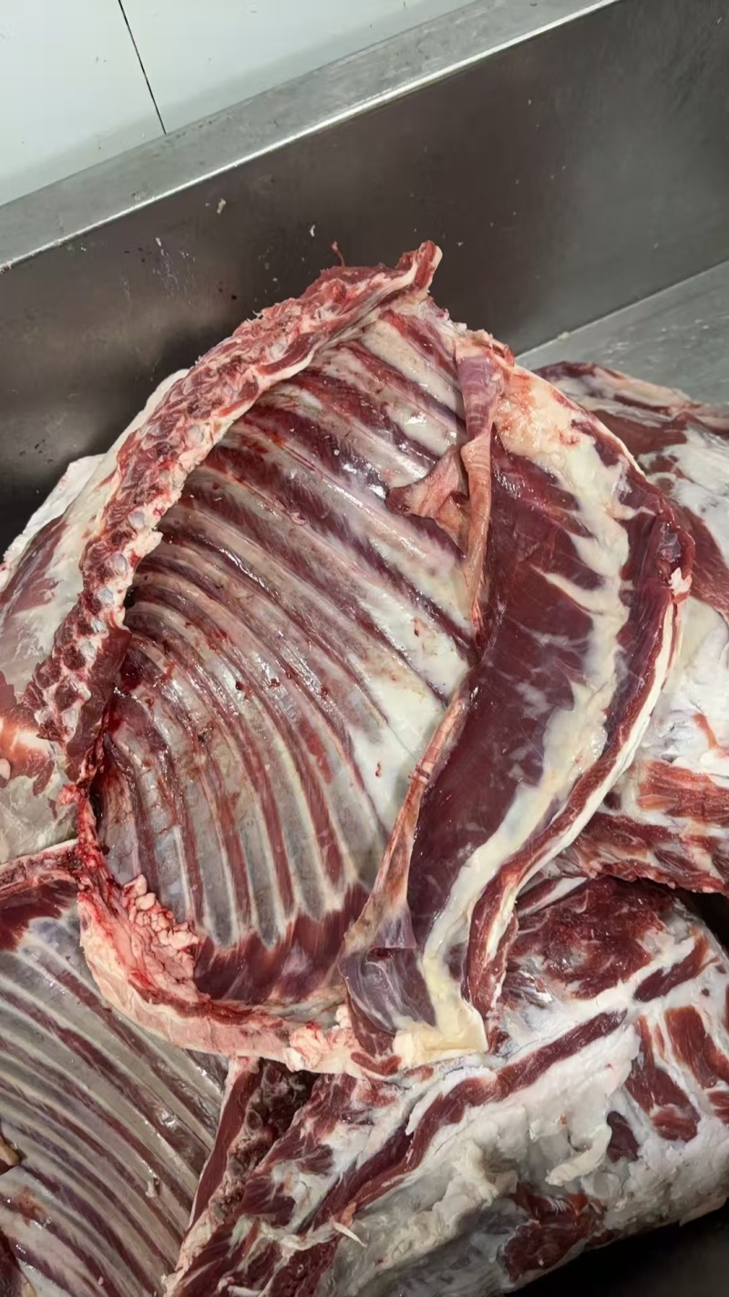 精品羊排羔羊肉排常年供应保质保量一手货源