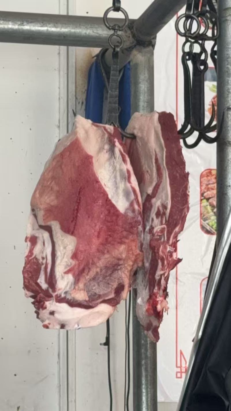 精品羊排羔羊肉排常年供应保质保量一手货源