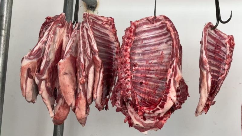 精品羊排羔羊肉排常年供应保质保量一手货源