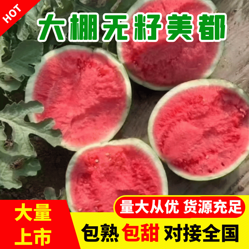 [美都西瓜批发]河南商丘夏邑县西瓜 1.50元/斤西瓜 美都西瓜 _ 一亩田