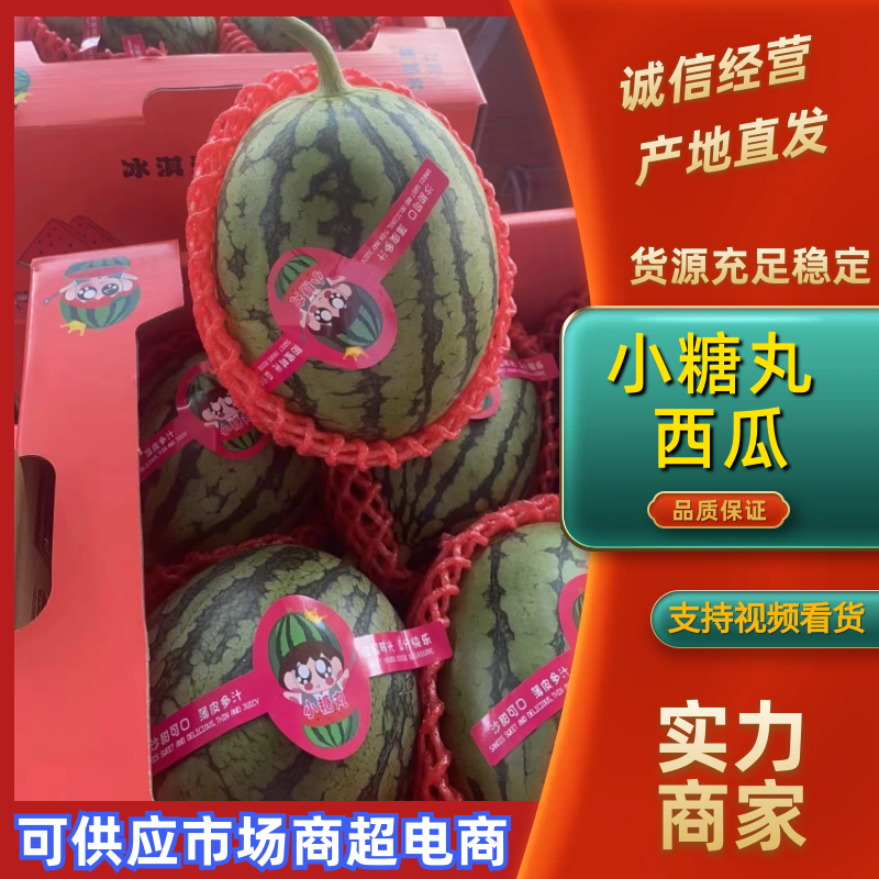 西瓜小糖丸西瓜精品小糖丸产地直供一手货源