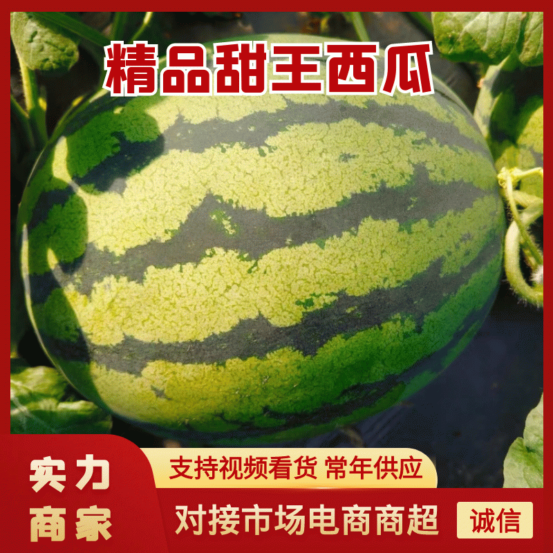 [甜王西瓜批发]山东聊城东阿县西瓜 0.50元/斤精品甜王西瓜山 _ 一亩田