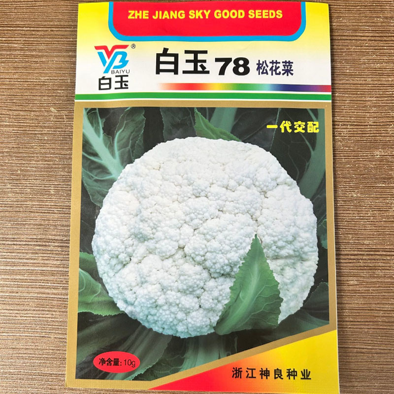 白玉65天70天78天88天108天松花菜种子