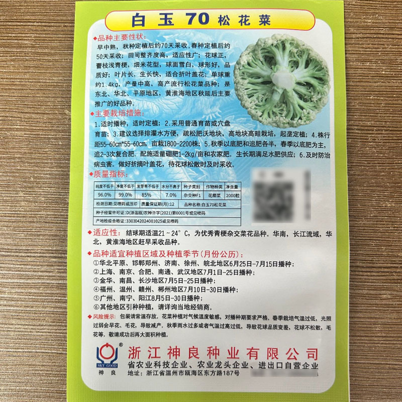 白玉65天70天78天88天108天松花菜种子