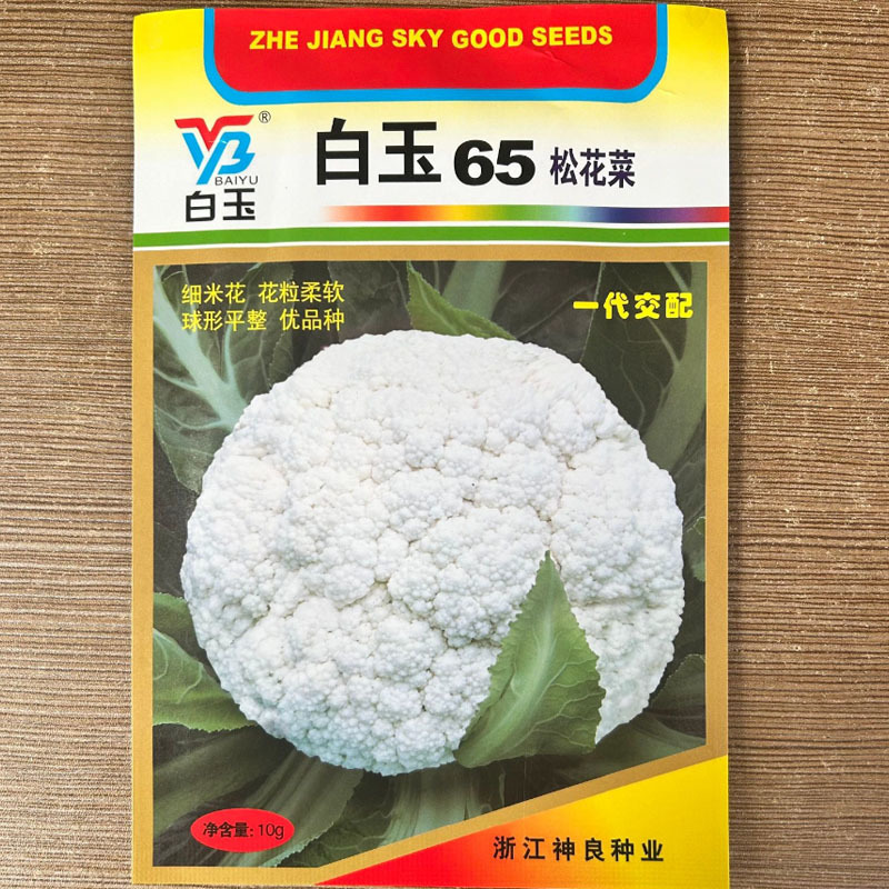 白玉65天70天78天88天108天松花菜种子