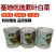 腾运红玫瑰油菜种子耐高温紫罗兰紫油菜上海青小青菜四季阳