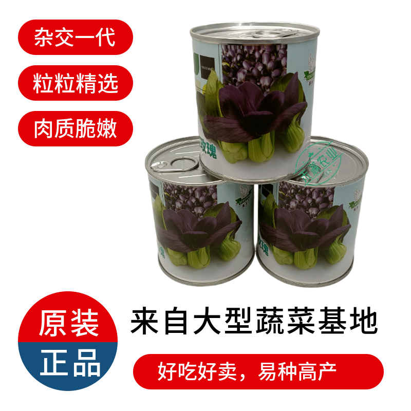 腾运红玫瑰油菜种子耐高温紫罗兰紫油菜上海青小青菜四季阳