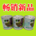 腾运红玫瑰油菜种子耐高温紫罗兰紫油菜上海青小青菜四季阳
