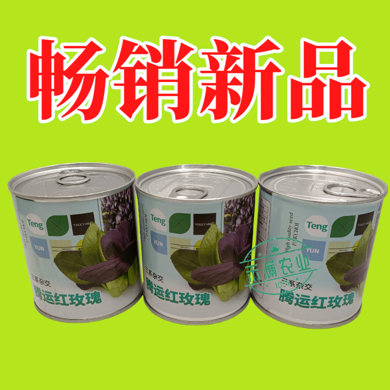 腾运红玫瑰油菜种子耐高温紫罗兰紫油菜上海青小青菜四季阳