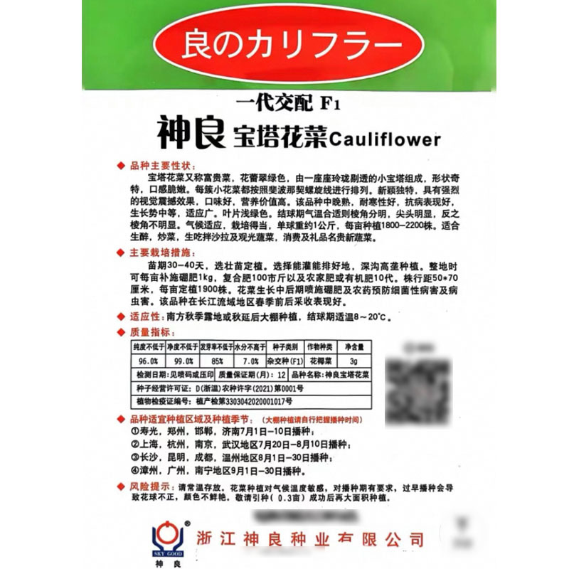神良宝塔花菜种子花蕾翠绿口感脆嫩耐寒抗病