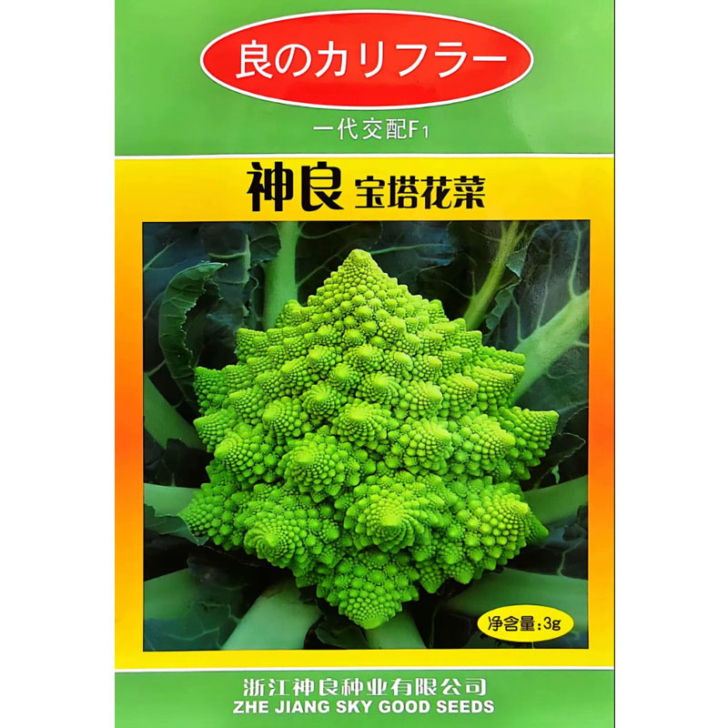 神良宝塔花菜种子花蕾翠绿口感脆嫩耐寒抗病