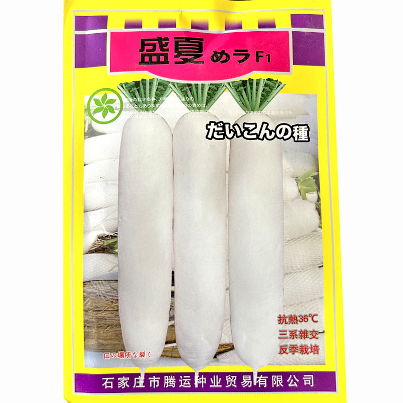 白萝卜种子春白玉盛夏夏秋专用50天上市小樱基地品种