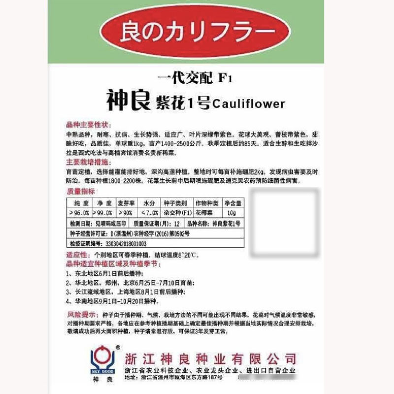 神良紫花1号紫花菜种子紫色花椰菜种子抗病耐寒