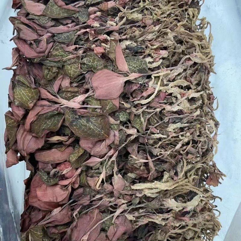 金钱莲