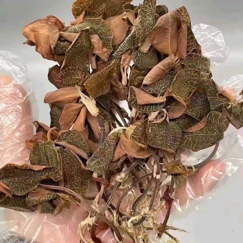 金钱莲