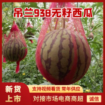 （精品西瓜）蒲城西瓜/938无籽西瓜/小糖丸西瓜/发全国