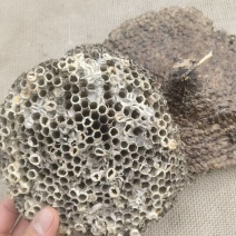 蜂巢