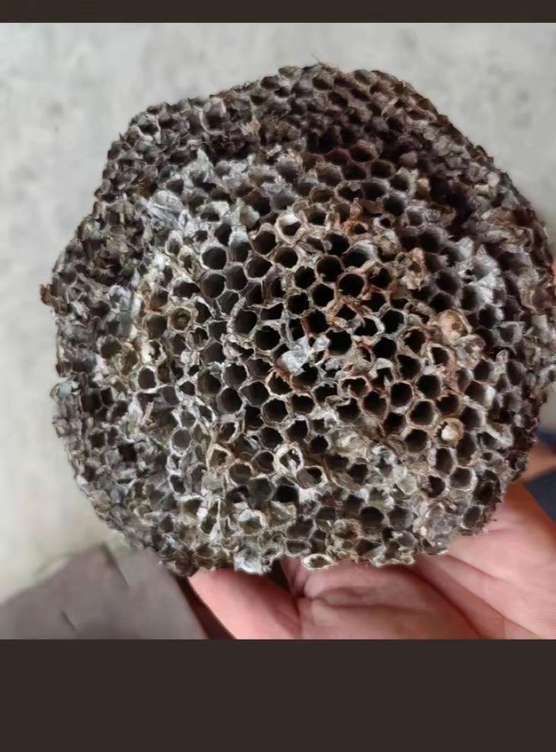 蜂巢