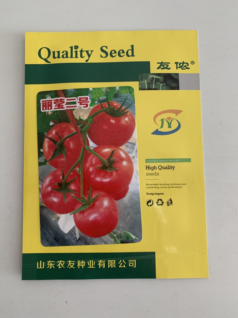 大果西红柿种子耐裂高硬度番茄种籽耐高温丽莹二号
