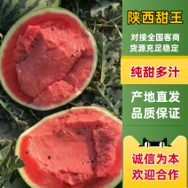 陕西甜王小糖丸甘美4K美都慕田嘉宝大量供应
