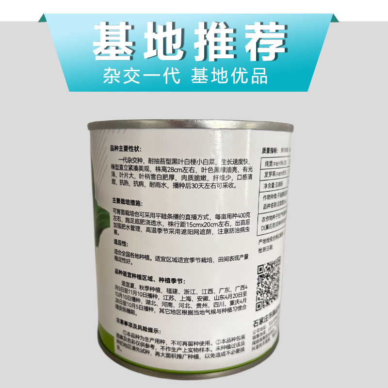 白玫瑰油菜种子耐高温速生25天采收黑叶白梗小白菜四
