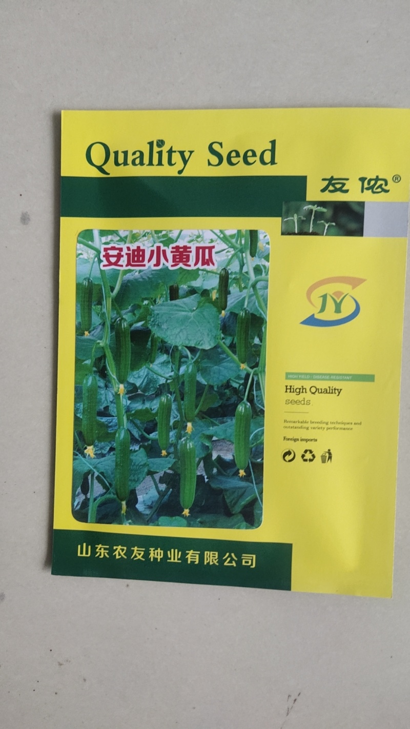 小黄瓜种子全雌水果黄瓜种籽好吃安迪小青瓜种