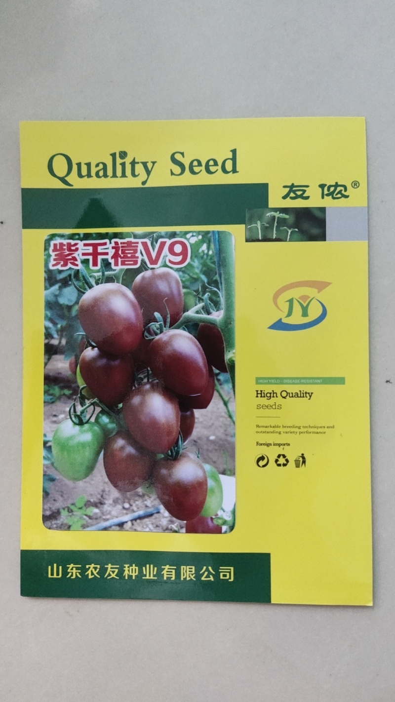千禧小番茄种子紫千禧V9樱桃西红种籽好吃小柿子籽