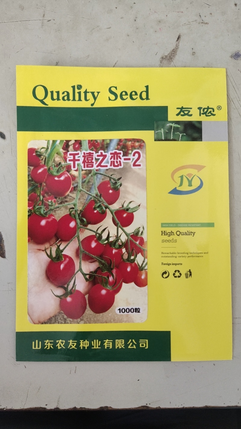小番茄种子红千禧圣女果种籽好吃抗TY小柿子籽千禧之恋
