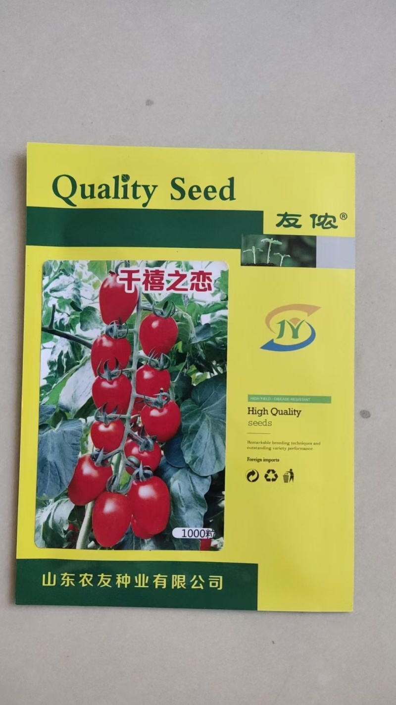 小番茄种子红千禧圣女果种籽好吃抗TY小柿子籽千禧之恋