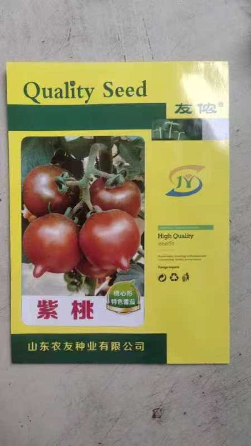紫桃小番茄种子口感好桃形小柿子种籽带尖圣女果种孑北蔬农业