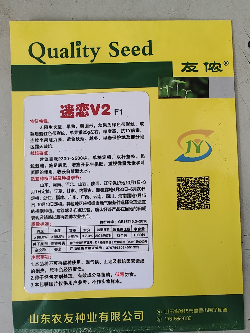 圣女果种子迷恋V2迷彩小番茄种籽超甜小柿子籽
