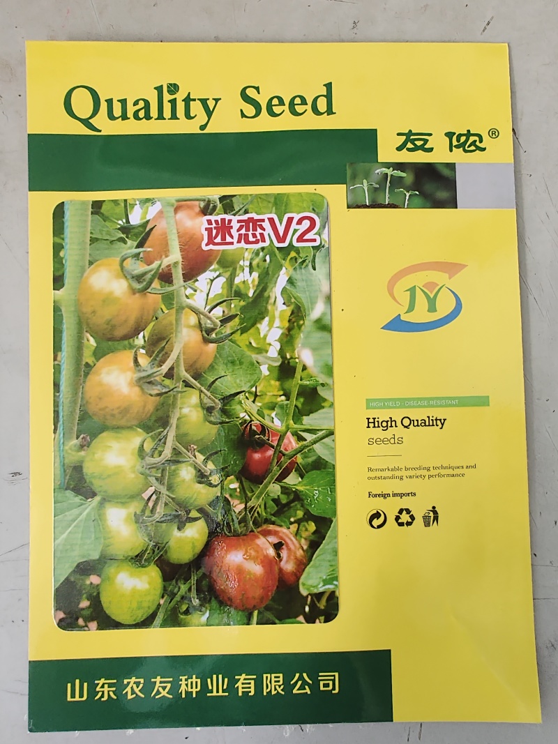 圣女果种子迷恋V2迷彩小番茄种籽超甜小柿子籽