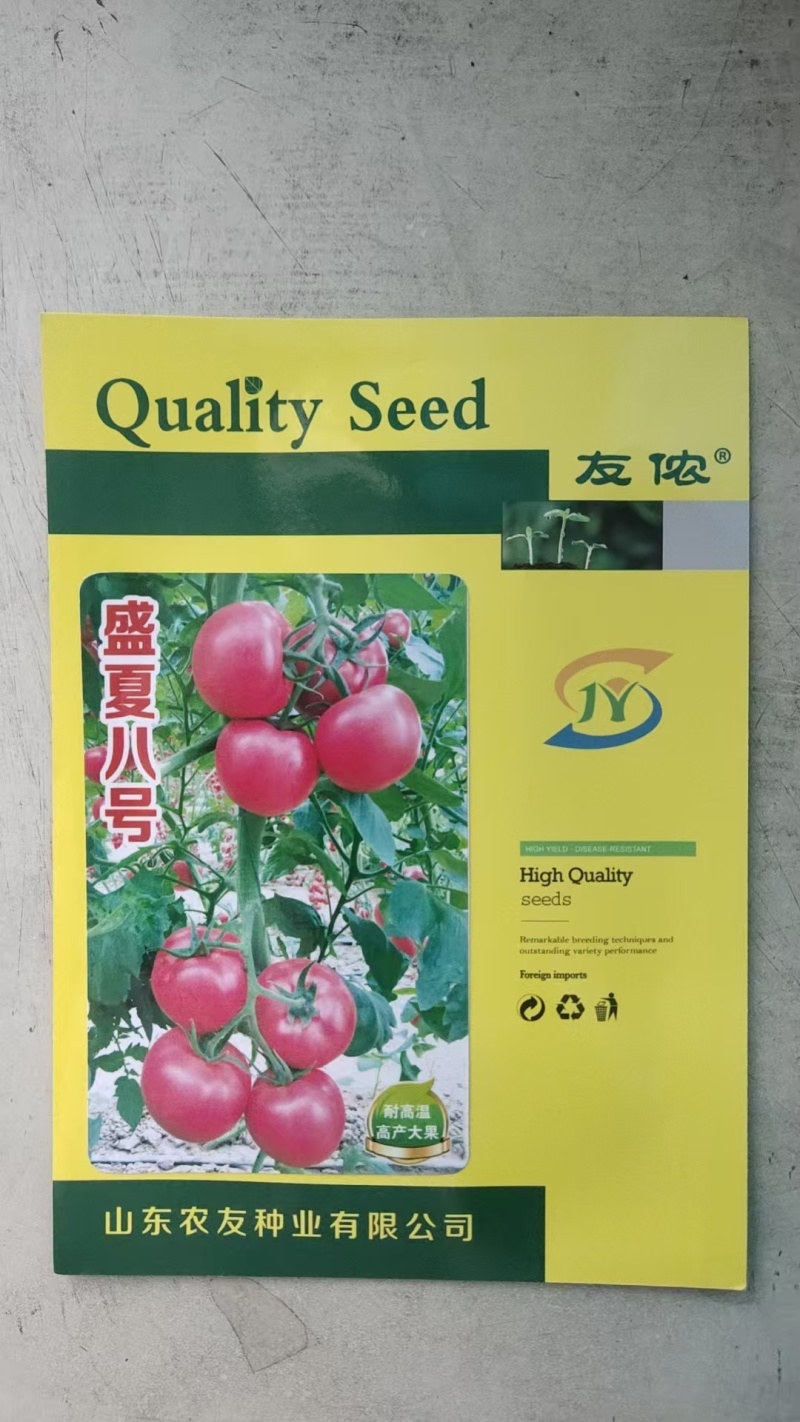 番茄种子盛夏八号毛粉柿子籽大果好吃西红柿种耐热抗TY