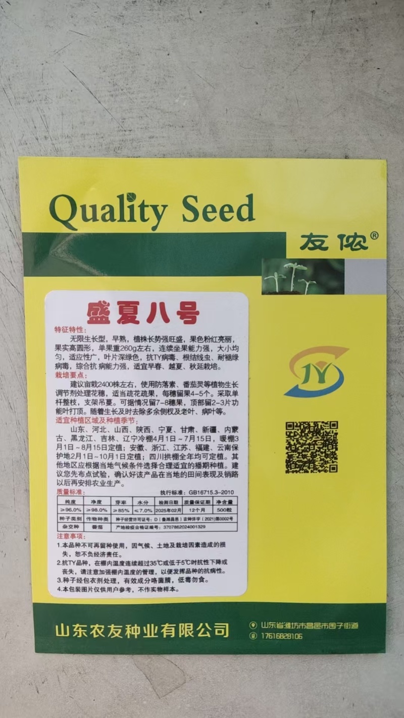番茄种子盛夏八号毛粉柿子籽大果好吃西红柿种耐热抗TY
