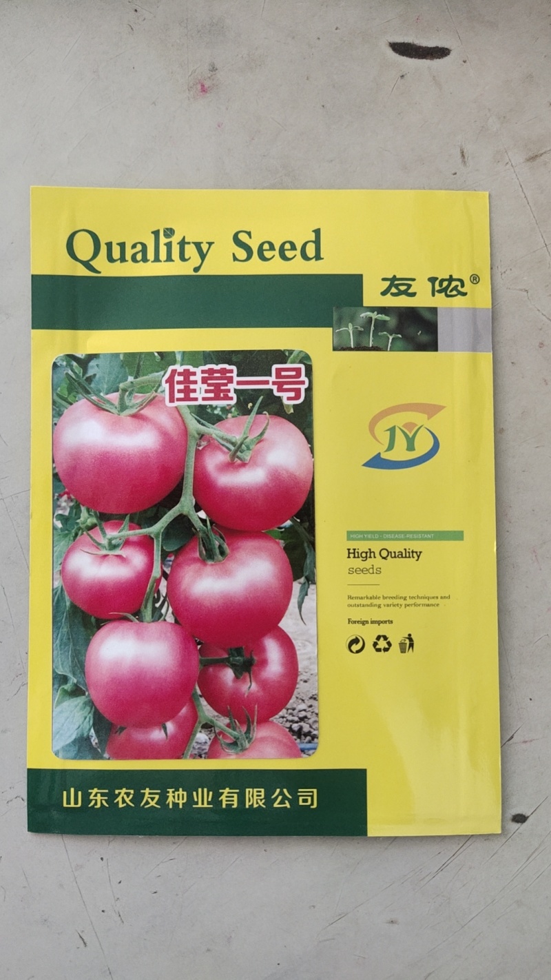 西红柿种子佳莹一号硬粉番茄种籽耐低温精品大果柿子种毛粉